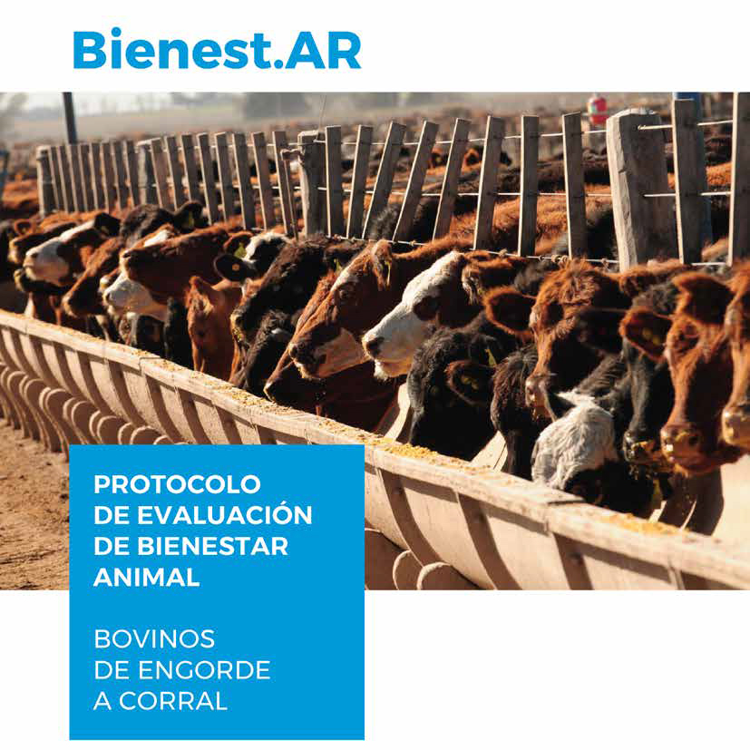 La importancia del bienestar animal para mejorar las ganancias de un  feedlot - NutriAr SA