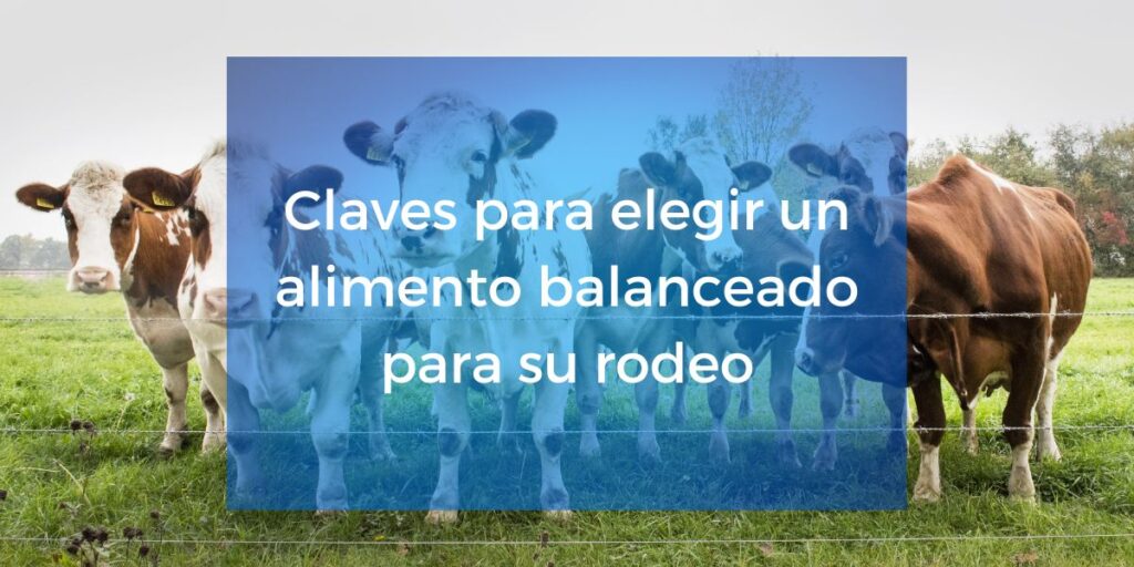 Nutriar SA fabrica de alimentos balanceados para ganado bovino