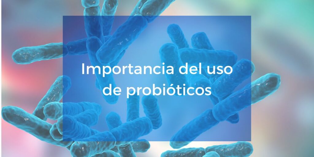 Los probioticos en la alimentación de bovinos