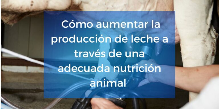 La nutrición animal en la producción de leche