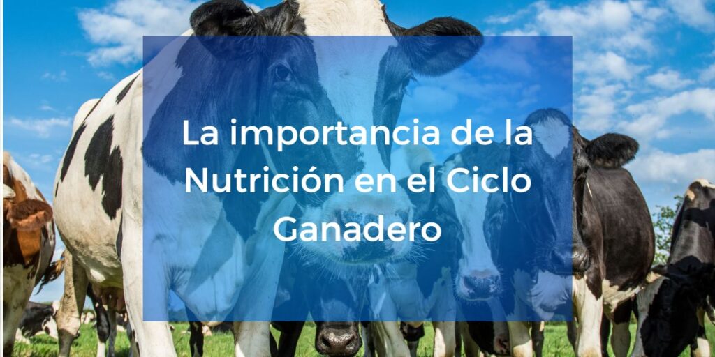 La importancia de la nutricion en el ciclo ganadero