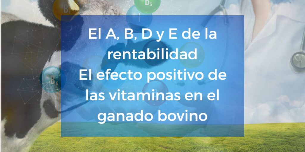 La importancia de la vitaminas en la rentabilidad de la producción bovina